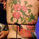 noi_siamese3_1969_tattoo_ii_miejsce_colour_20091213_1232254676