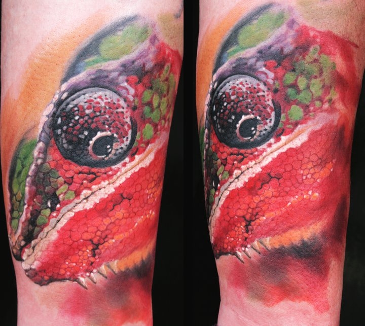 kamil_mocet_terczyski_20111015_1736965033