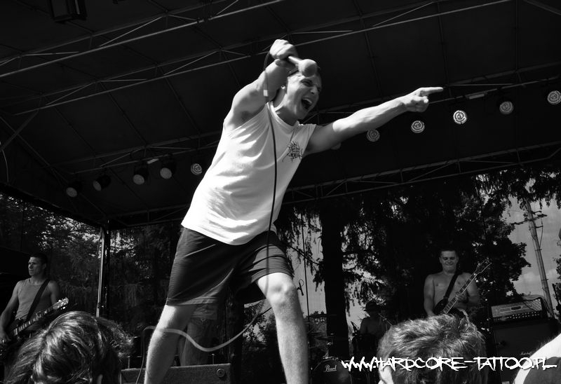 stone_heart_20100718_1826352564