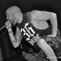 lionheart_20120129_1657424117