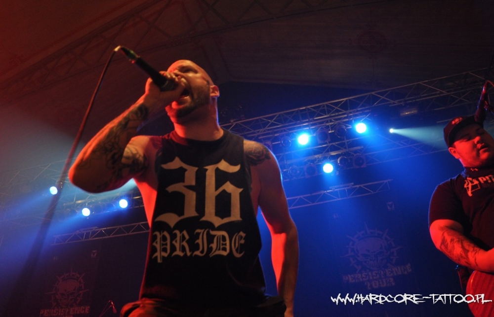 lionheart_20120129_1703490793