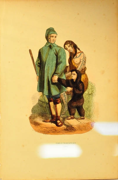 piotr_wojciechowski_collection_20100814_1008254393