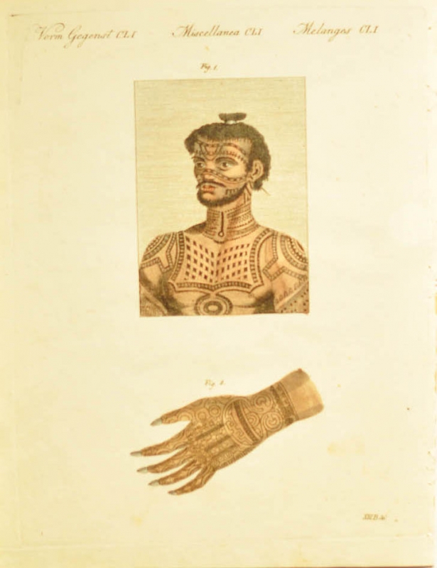 piotr_wojciechowski_collection_20100814_1720245269