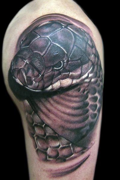 roman_7_20090427_1998767040